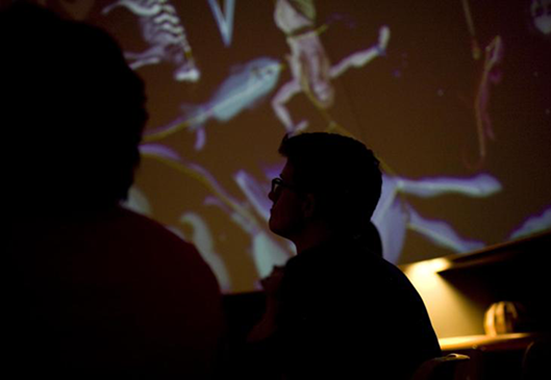 Link and photo of students in the dark planetarium with projections of constellations visible overhead.
